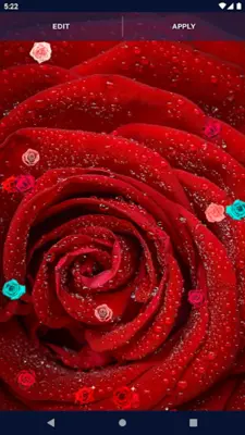 Red Rose 4K Live Wallpaper android App screenshot 2